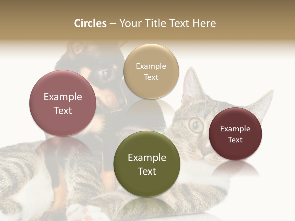 Friendly Lovely Look PowerPoint Template