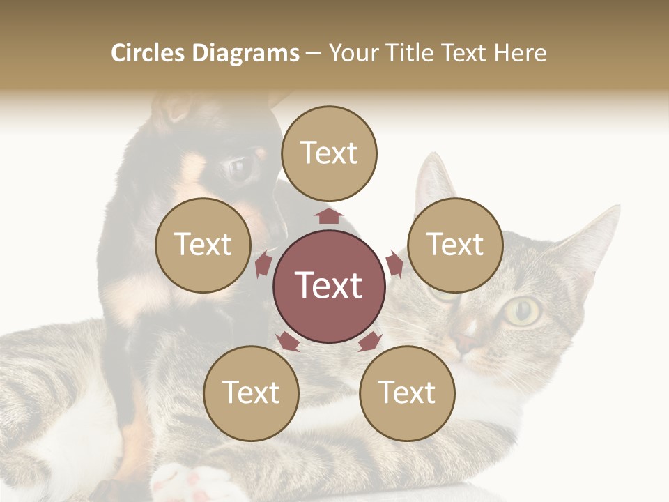 Friendly Lovely Look PowerPoint Template