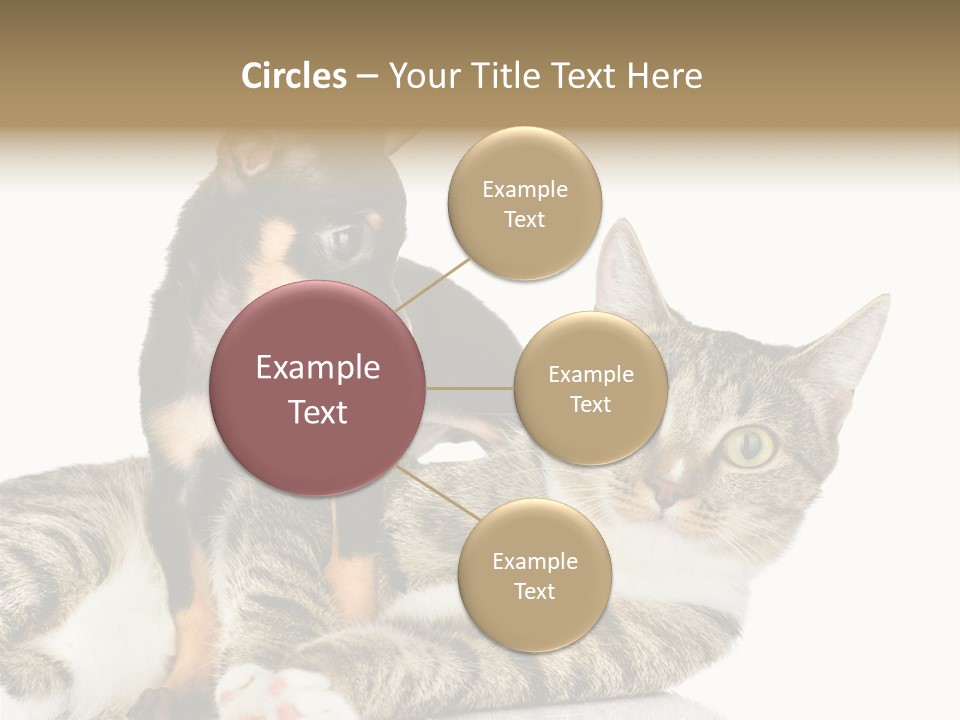 Friendly Lovely Look PowerPoint Template