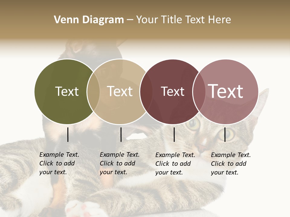 Friendly Lovely Look PowerPoint Template