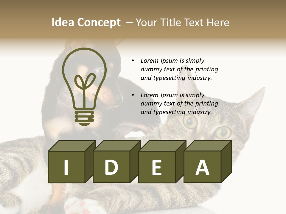 Friendly Lovely Look PowerPoint Template