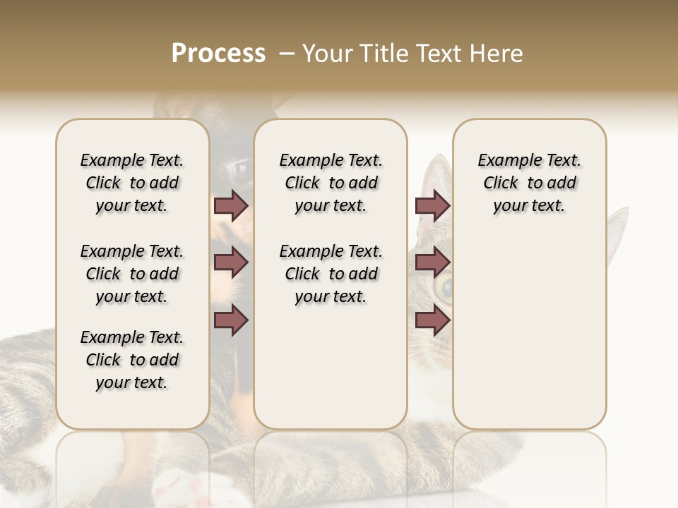 Friendly Lovely Look PowerPoint Template