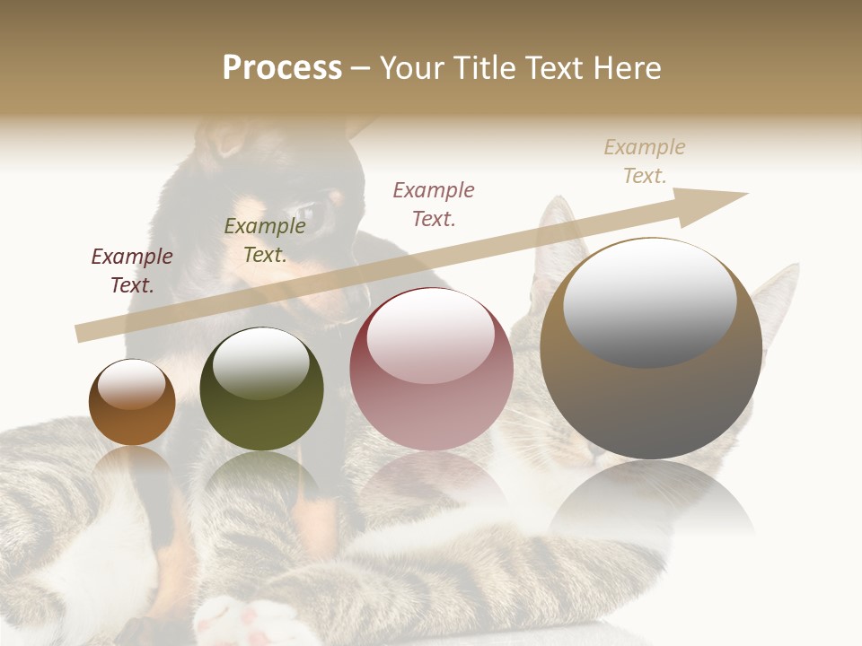 Friendly Lovely Look PowerPoint Template