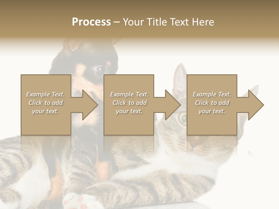 Friendly Lovely Look PowerPoint Template
