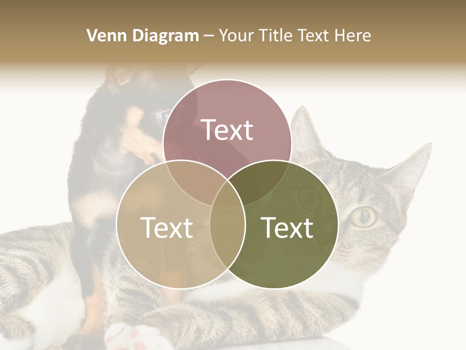 Friendly Lovely Look PowerPoint Template