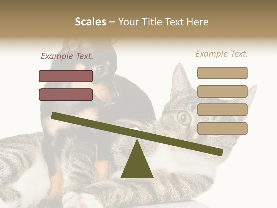 Friendly Lovely Look PowerPoint Template