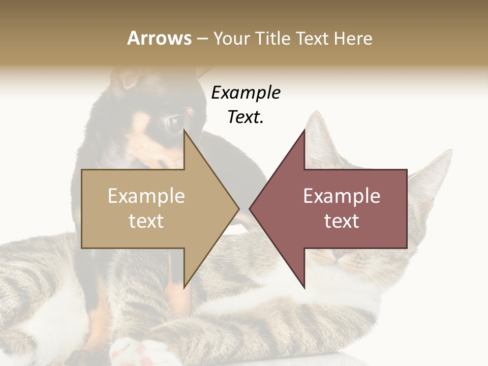 Friendly Lovely Look PowerPoint Template