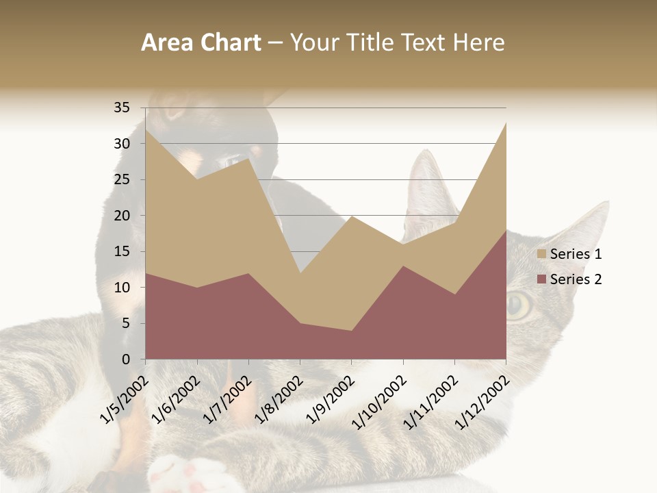 Friendly Lovely Look PowerPoint Template
