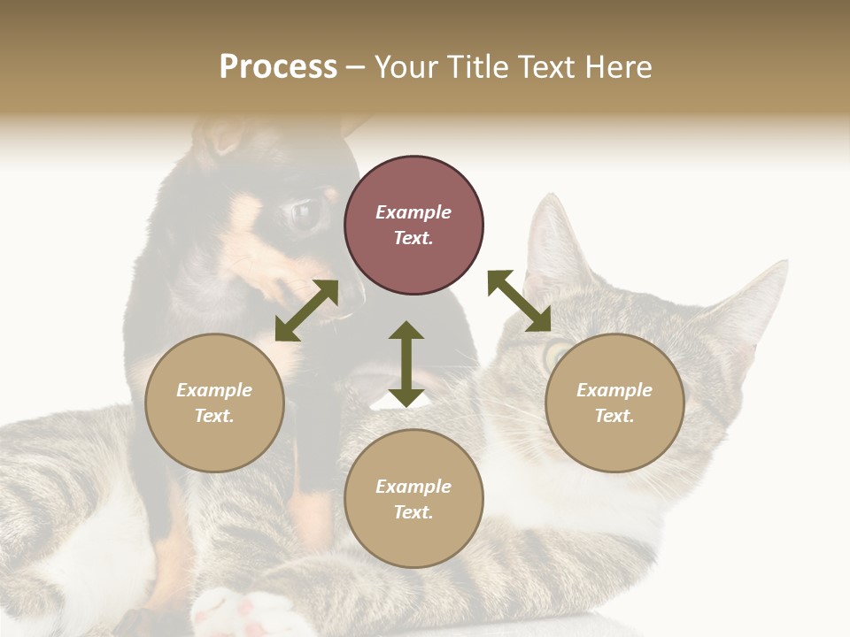 Friendly Lovely Look PowerPoint Template