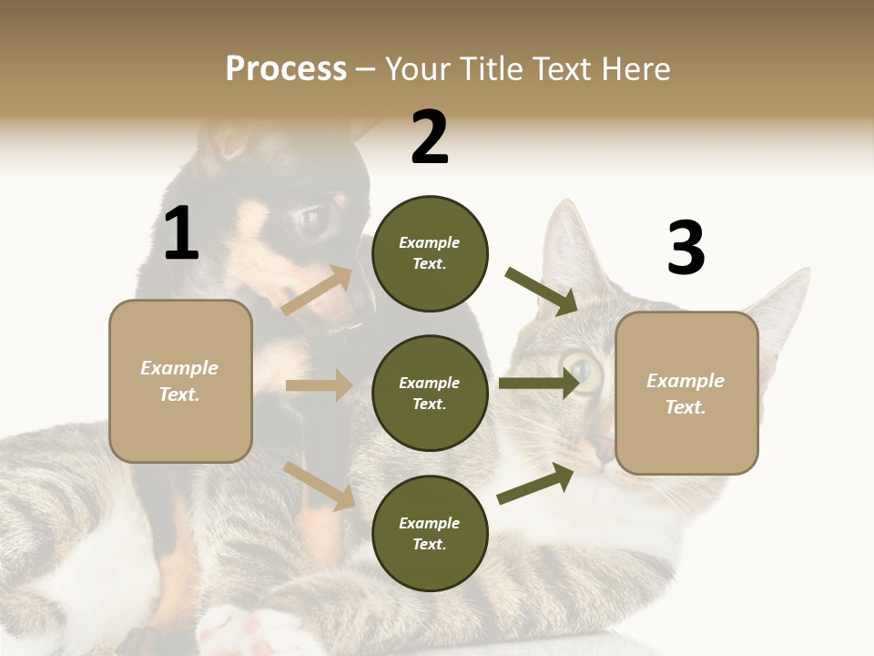 Friendly Lovely Look PowerPoint Template