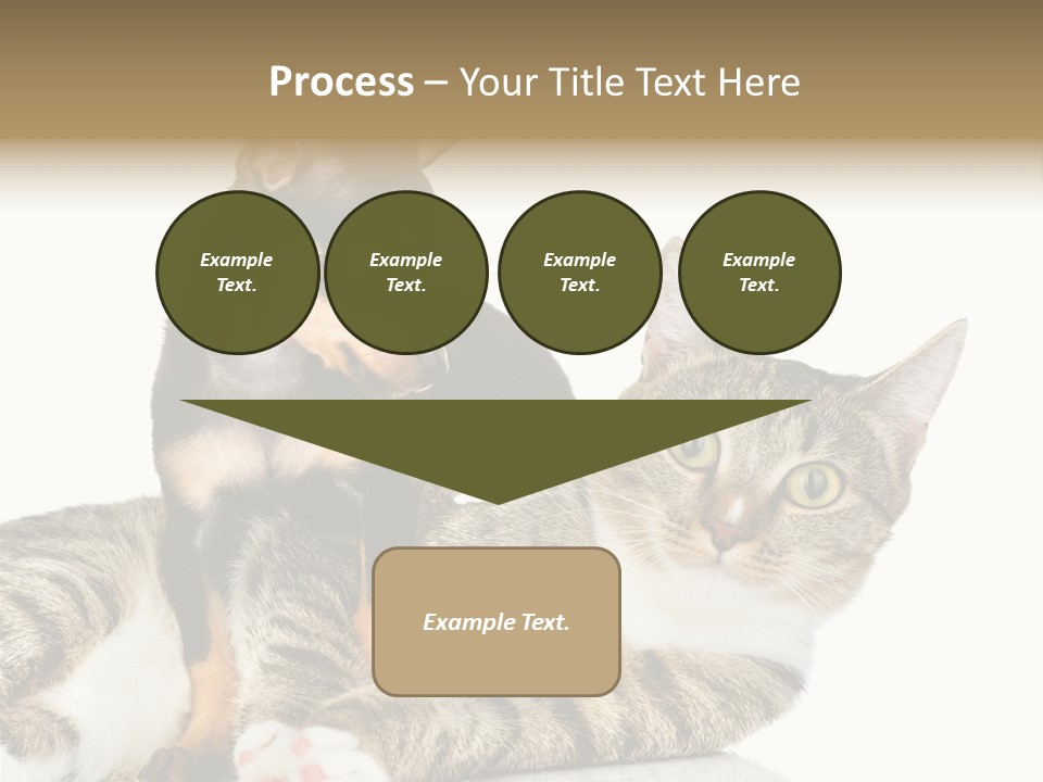 Friendly Lovely Look PowerPoint Template