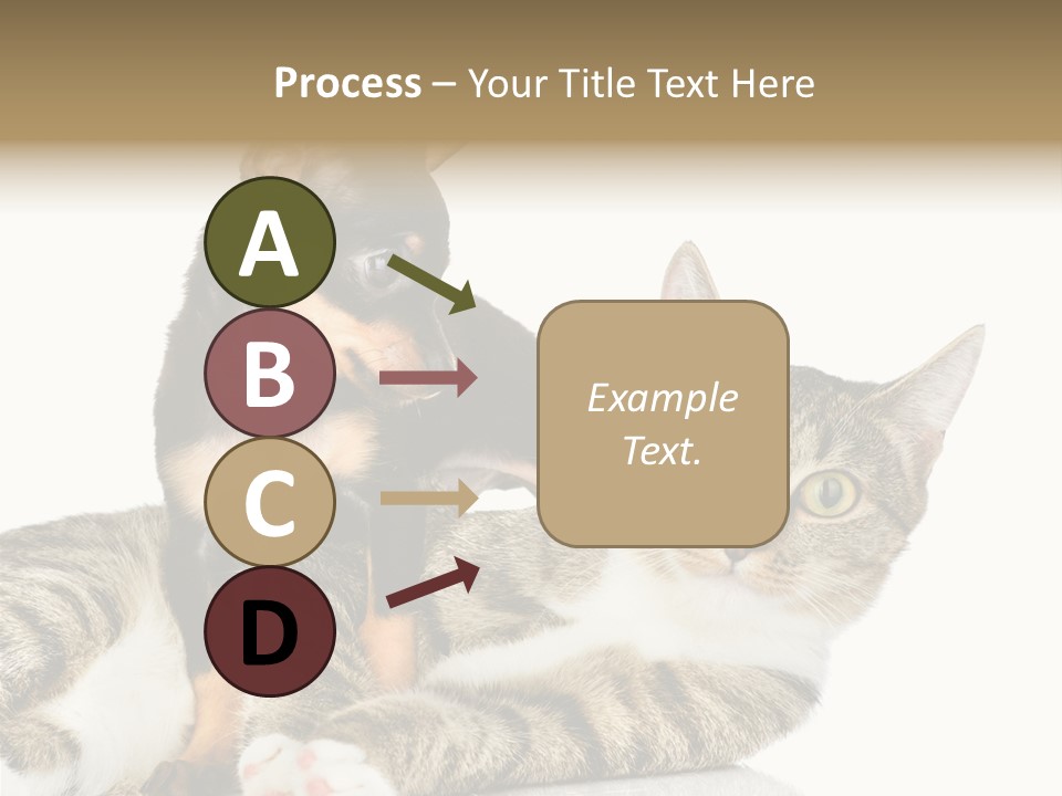 Friendly Lovely Look PowerPoint Template