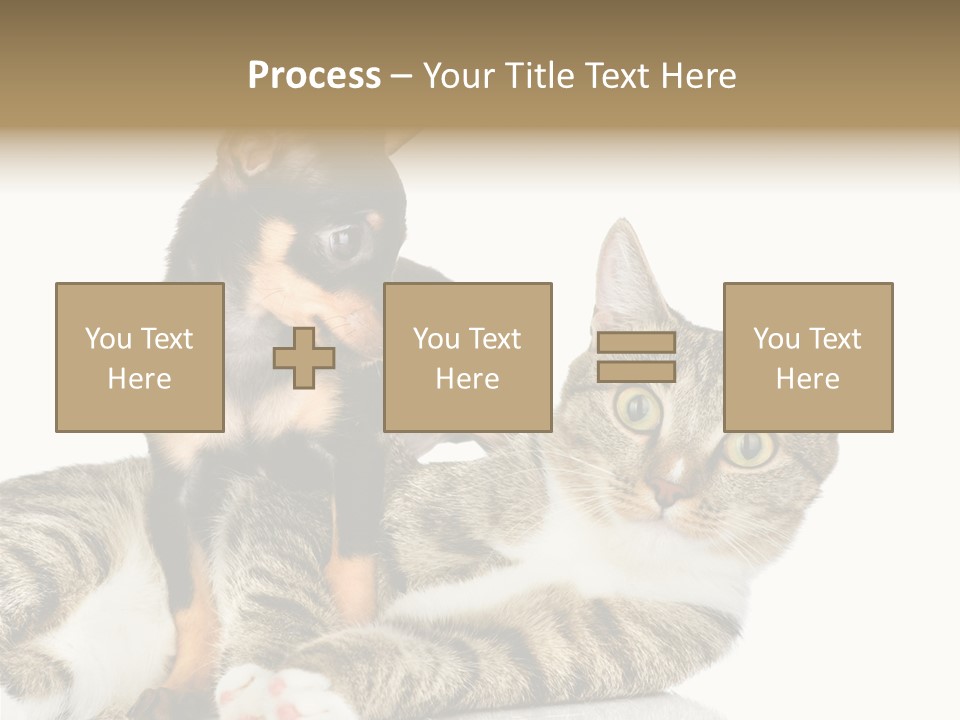 Friendly Lovely Look PowerPoint Template