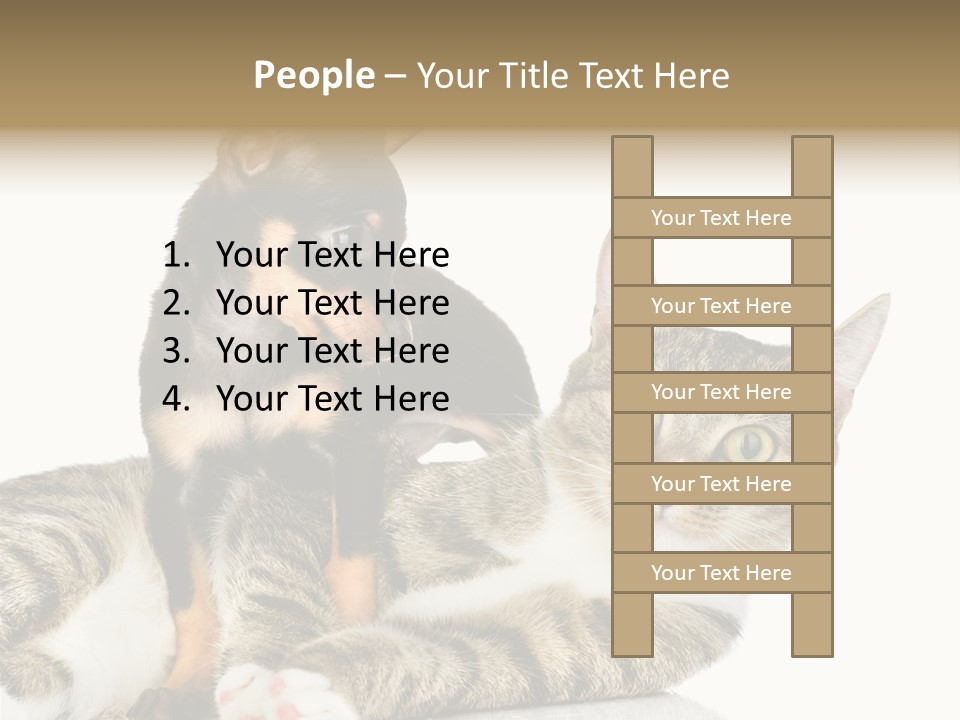 Friendly Lovely Look PowerPoint Template