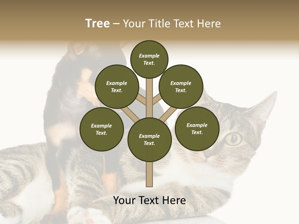 Friendly Lovely Look PowerPoint Template