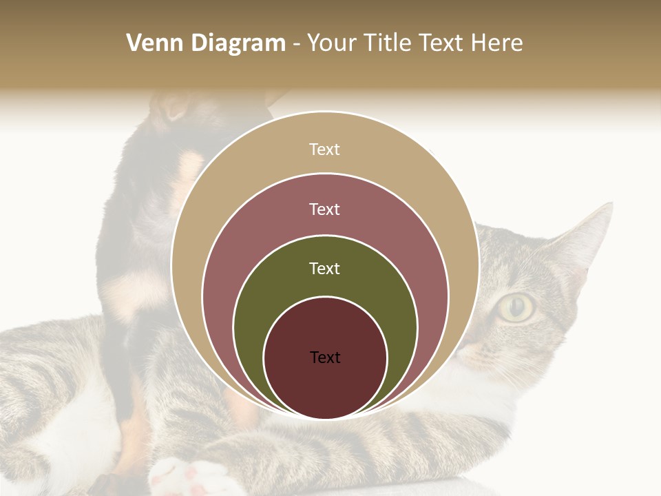 Friendly Lovely Look PowerPoint Template