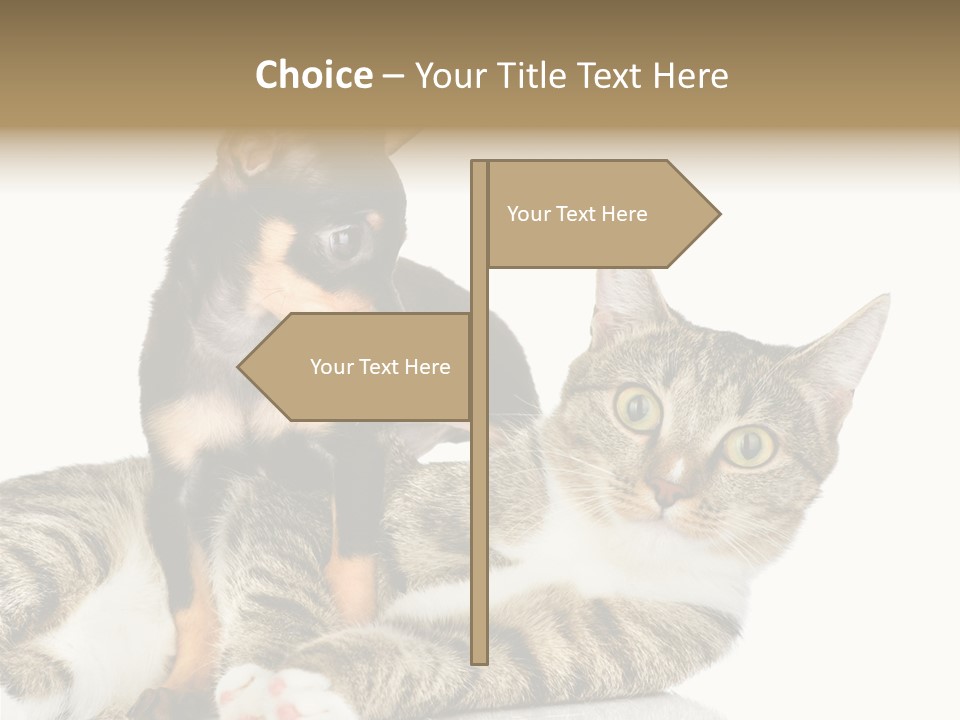 Friendly Lovely Look PowerPoint Template