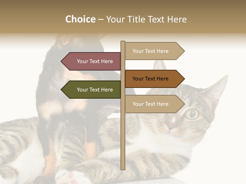 Friendly Lovely Look PowerPoint Template
