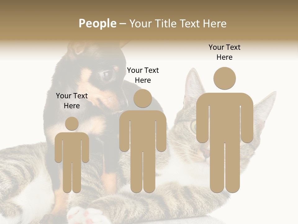 Friendly Lovely Look PowerPoint Template