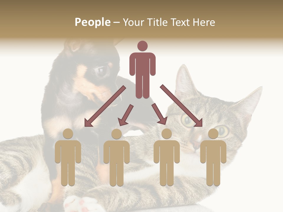 Friendly Lovely Look PowerPoint Template