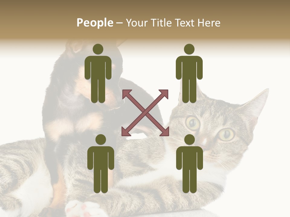 Friendly Lovely Look PowerPoint Template