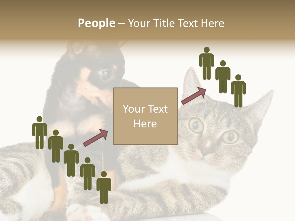 Friendly Lovely Look PowerPoint Template