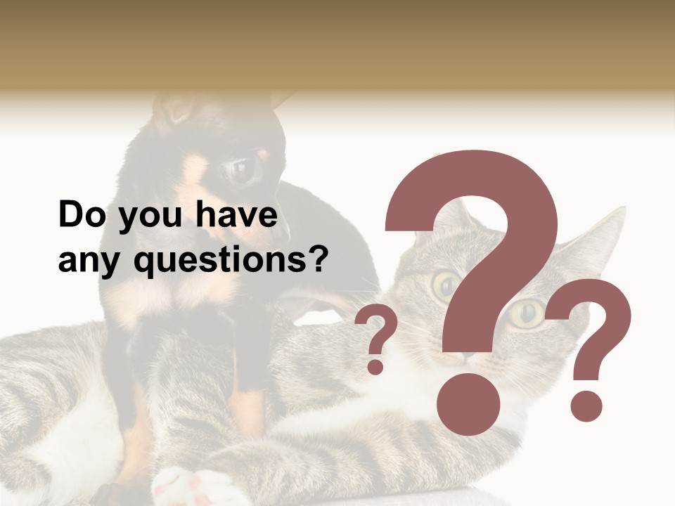 Friendly Lovely Look PowerPoint Template