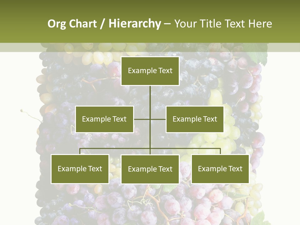 Grapes Drink Concept PowerPoint Template