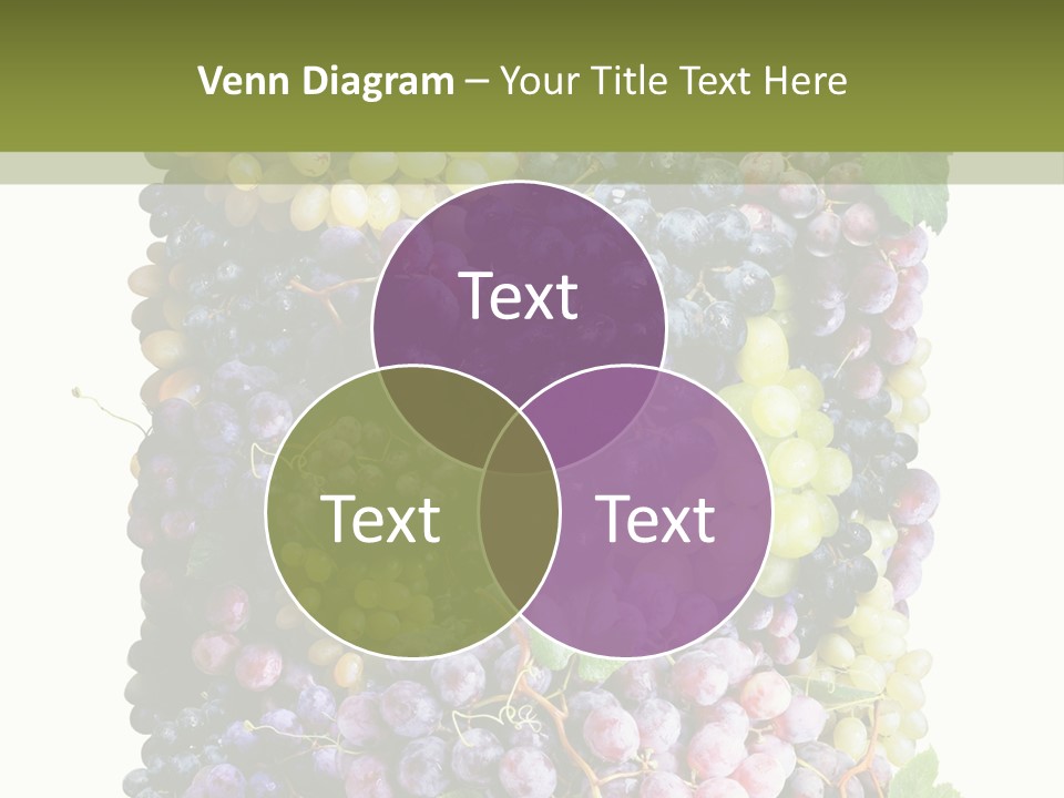Grapes Drink Concept PowerPoint Template