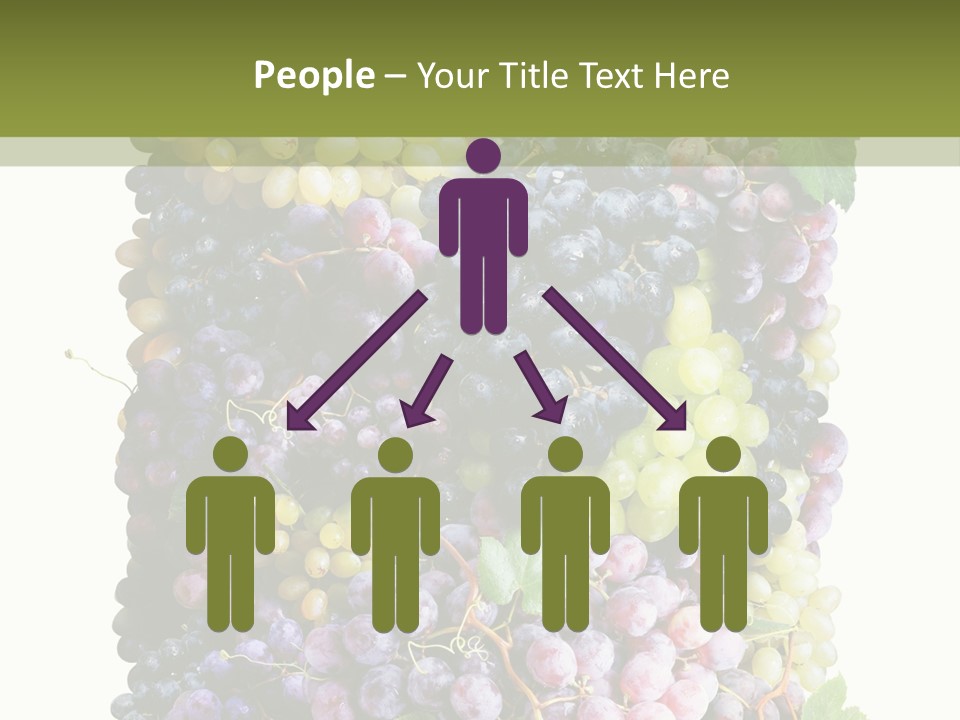Grapes Drink Concept PowerPoint Template