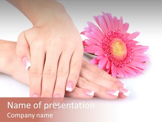 Wellness Background Camomile PowerPoint Template