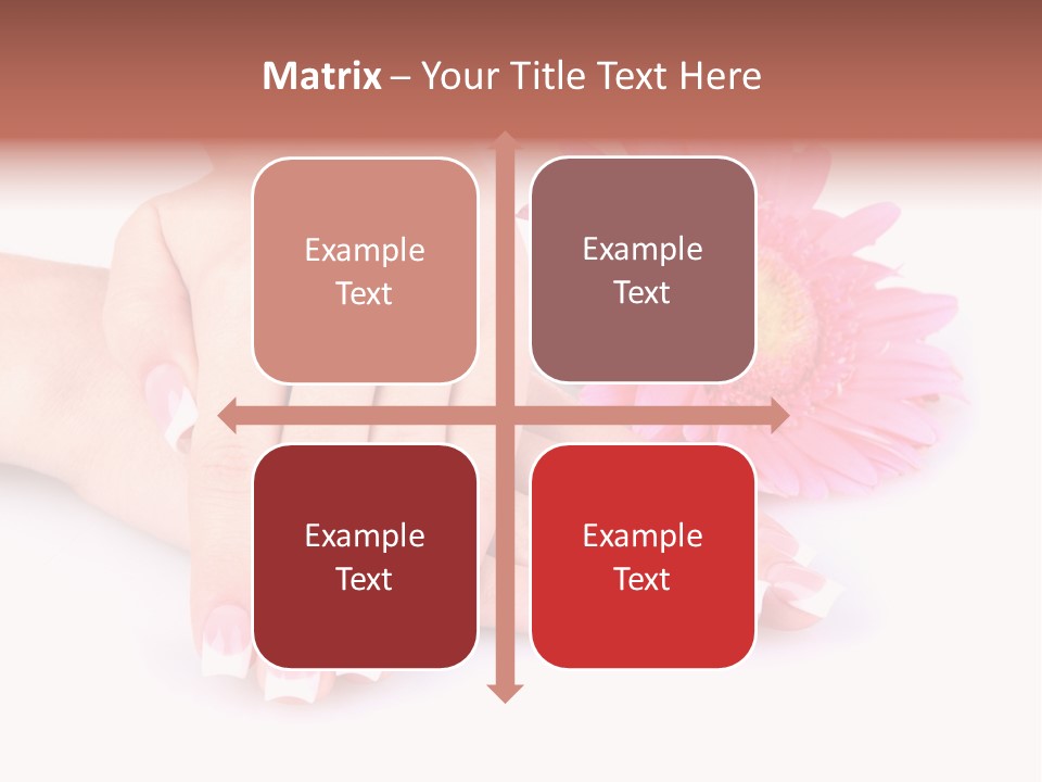 Wellness Background Camomile PowerPoint Template