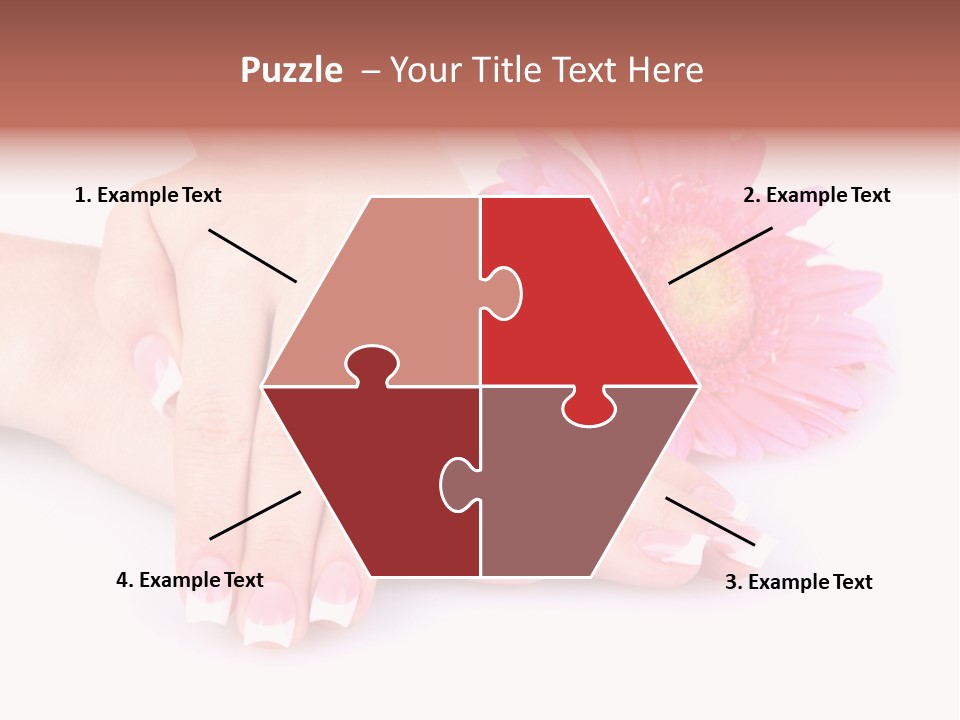 Wellness Background Camomile PowerPoint Template