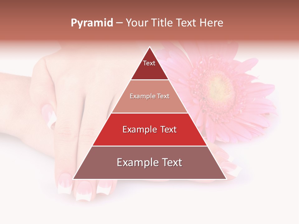 Wellness Background Camomile PowerPoint Template