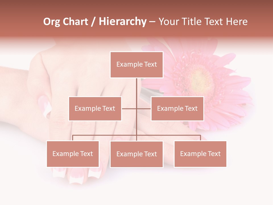 Wellness Background Camomile PowerPoint Template