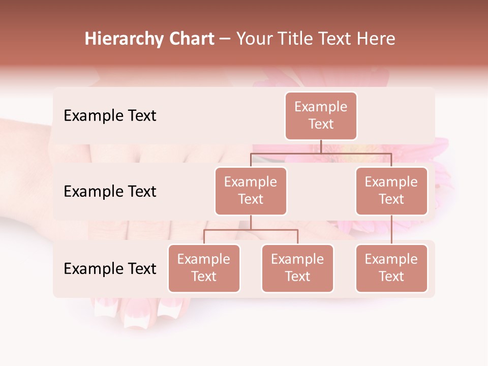 Wellness Background Camomile PowerPoint Template