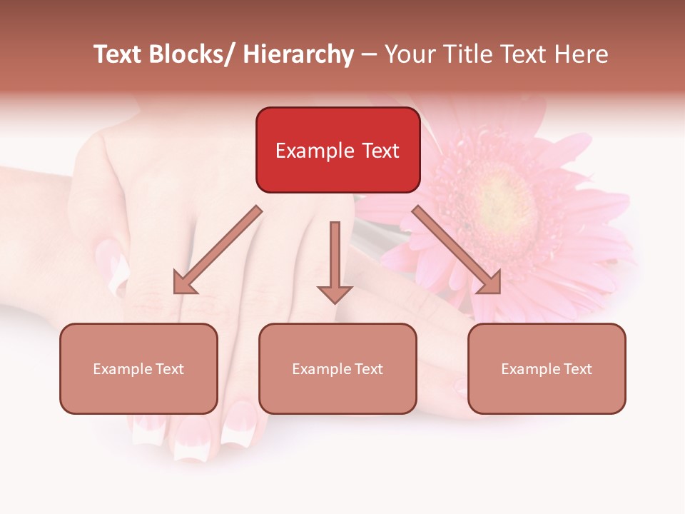 Wellness Background Camomile PowerPoint Template