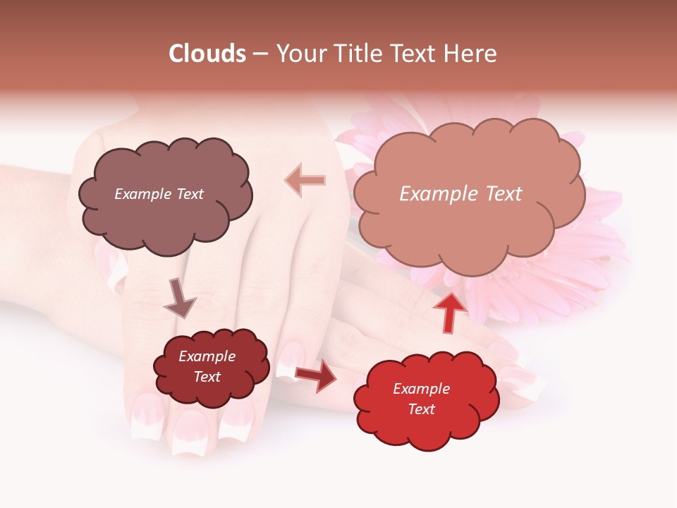 Wellness Background Camomile PowerPoint Template