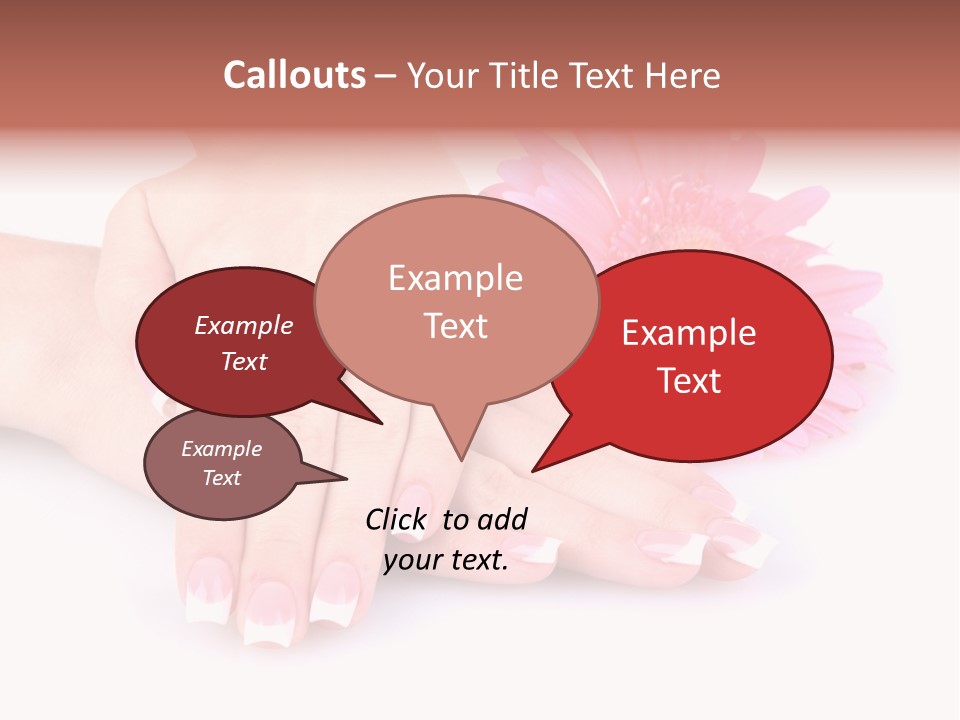 Wellness Background Camomile PowerPoint Template