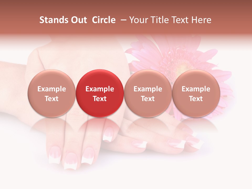 Wellness Background Camomile PowerPoint Template