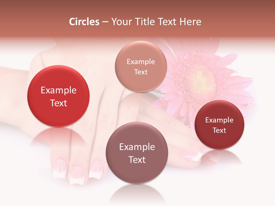 Wellness Background Camomile PowerPoint Template