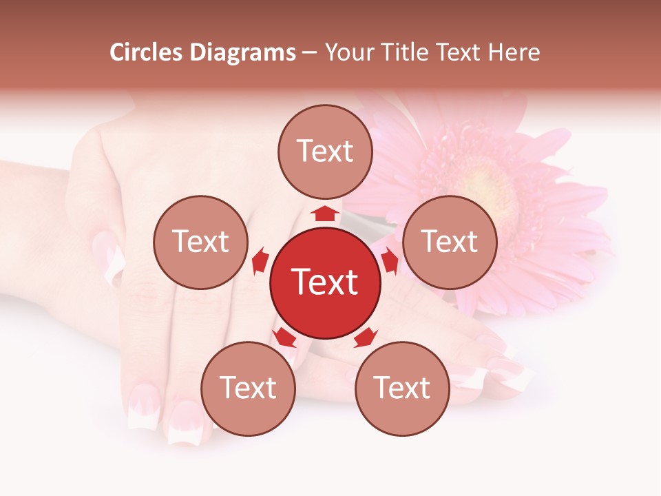 Wellness Background Camomile PowerPoint Template