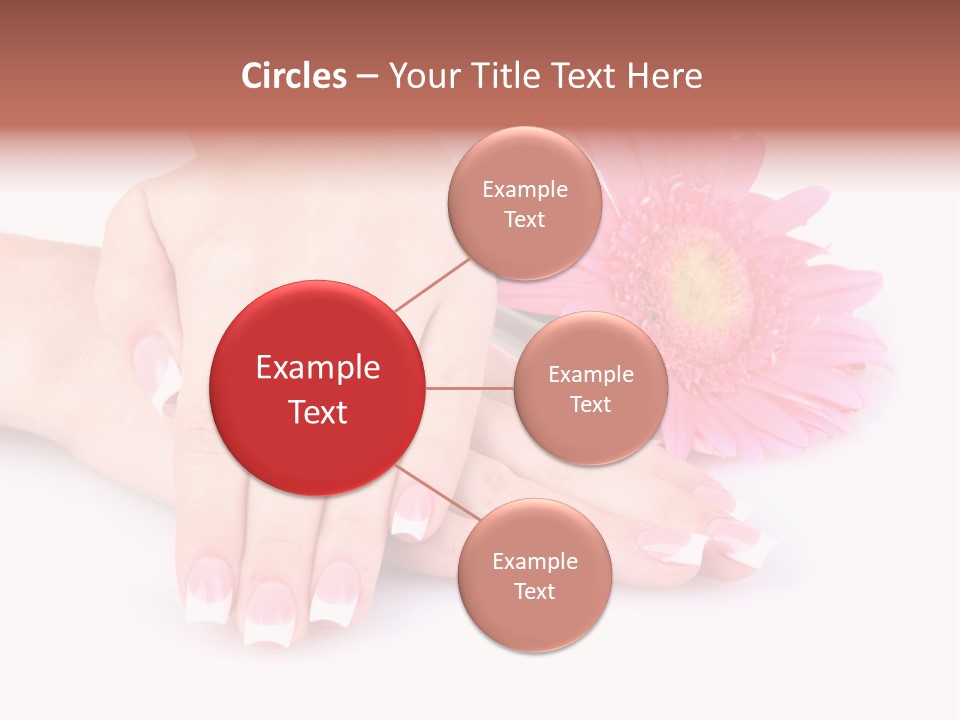 Wellness Background Camomile PowerPoint Template