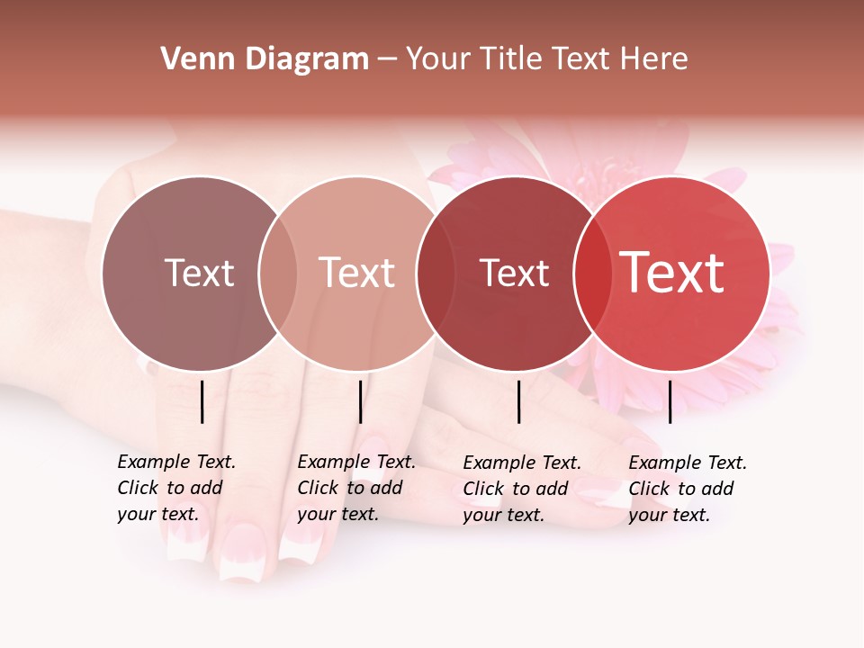 Wellness Background Camomile PowerPoint Template