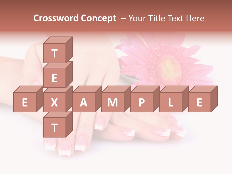 Wellness Background Camomile PowerPoint Template