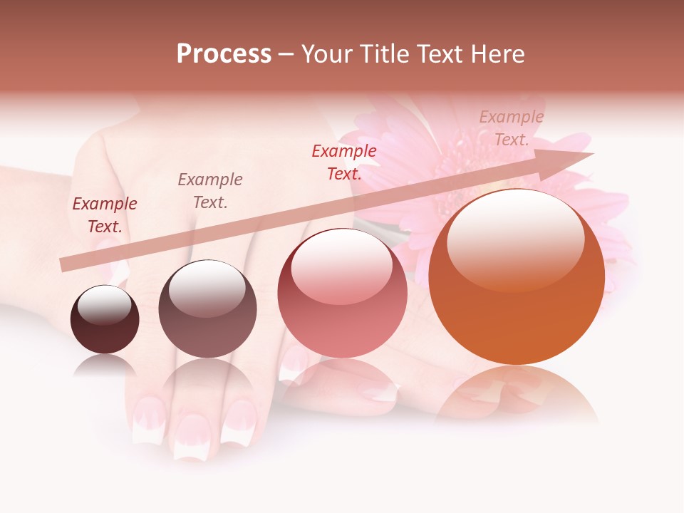 Wellness Background Camomile PowerPoint Template