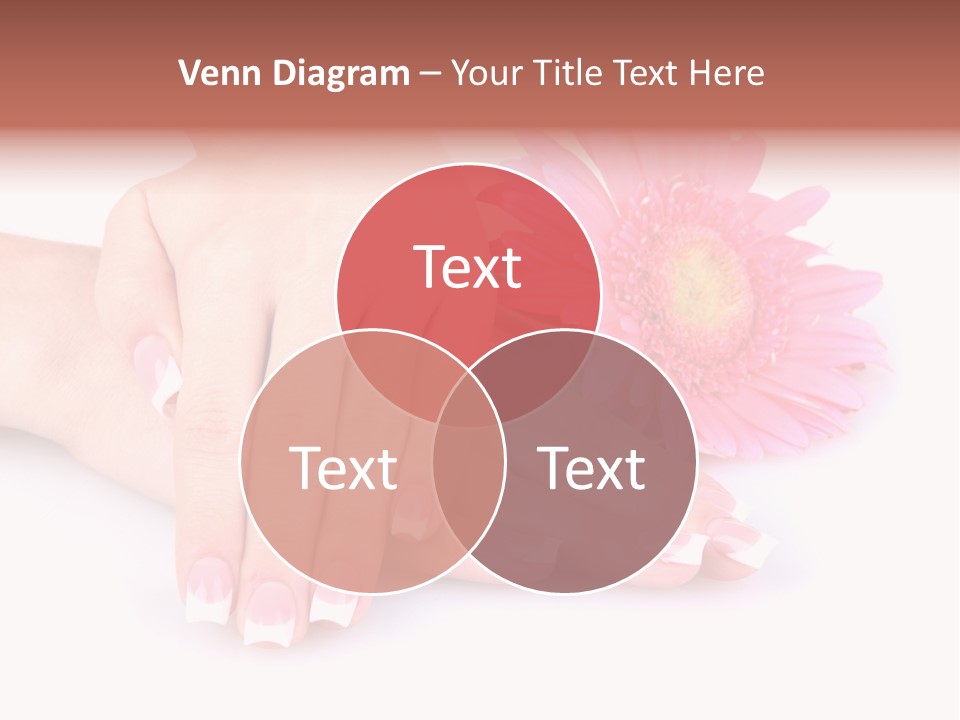 Wellness Background Camomile PowerPoint Template