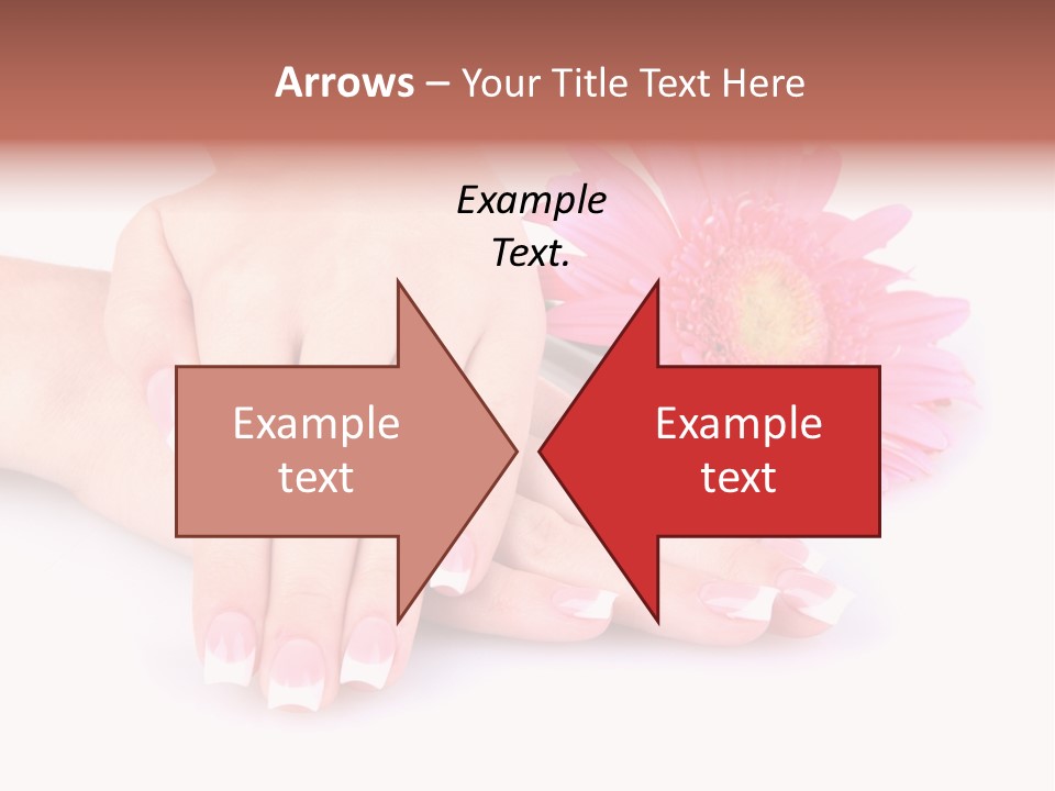 Wellness Background Camomile PowerPoint Template