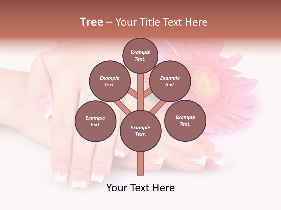 Wellness Background Camomile PowerPoint Template