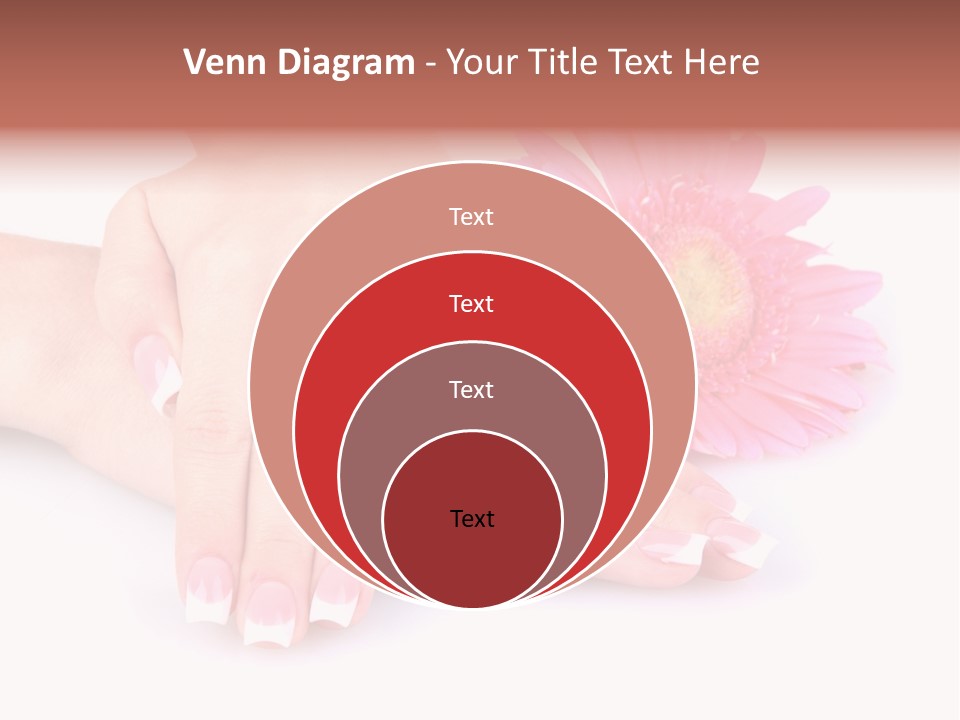Wellness Background Camomile PowerPoint Template